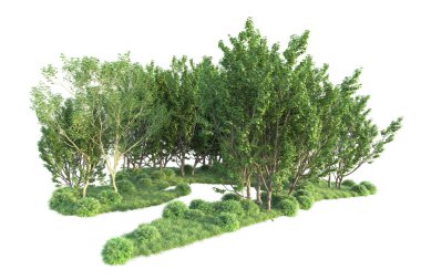 Beyaz arka planda ağaçların olduğu ormanın manzarası