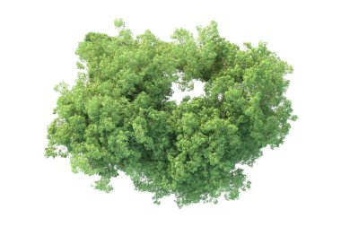 Beyaz arka planda ağaçların olduğu ormanın manzarası