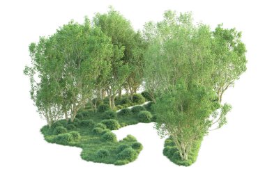 Beyaz arka planda ağaçların olduğu ormanın manzarası