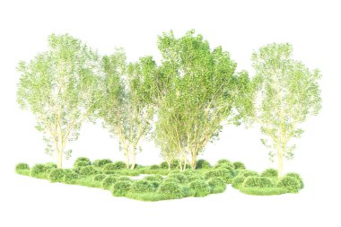 Beyaz arka planda ağaçların olduğu ormanın manzarası