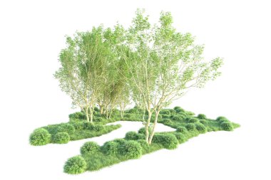 Beyaz arka planda ağaçların olduğu ormanın manzarası