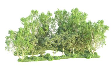 Beyaz arka planda ağaçların olduğu ormanın manzarası