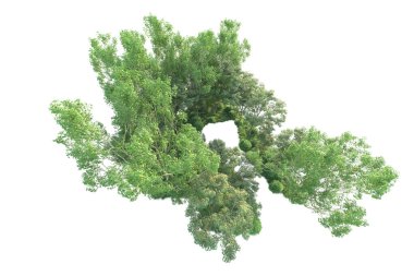 Beyaz arka planda ağaçların olduğu ormanın manzarası