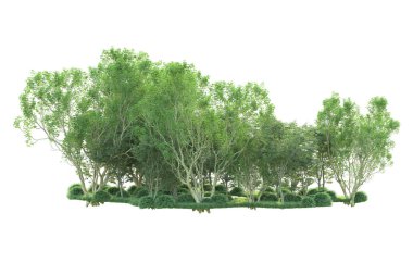 Beyaz arka planda ağaçların olduğu ormanın manzarası