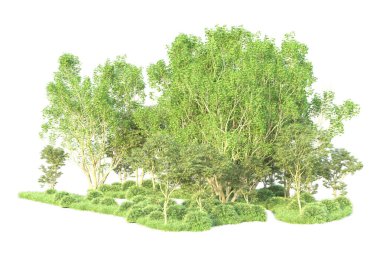 Beyaz arka planda ağaçların olduğu ormanın manzarası