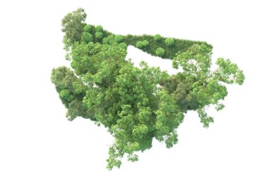 Beyaz arka planda ağaçların olduğu ormanın manzarası