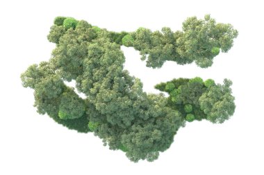 Beyaz arka planda ağaçların olduğu ormanın manzarası