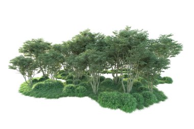 Beyaz arka planda ağaçların olduğu ormanın manzarası