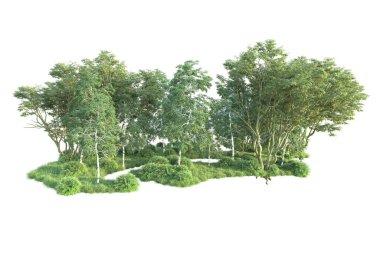 Beyaz arka planda ağaçların olduğu ormanın manzarası