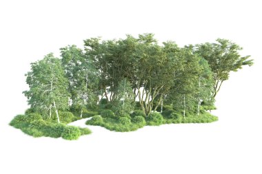 Beyaz arka planda ağaçların olduğu ormanın manzarası