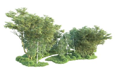 Beyaz arka planda ağaçların olduğu ormanın manzarası