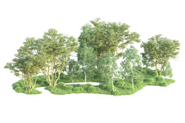 Beyaz arka planda ağaçların olduğu ormanın manzarası