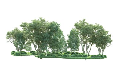 Beyaz arka planda ağaçların olduğu ormanın manzarası