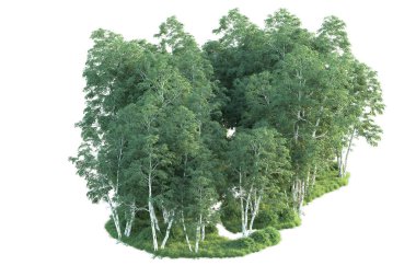 Beyaz arka planda ağaçların olduğu ormanın manzarası