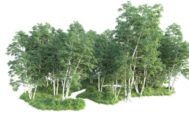 Beyaz arka planda ağaçların olduğu ormanın manzarası