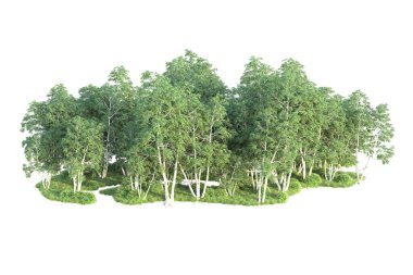 Beyaz arka planda ağaçların olduğu ormanın manzarası