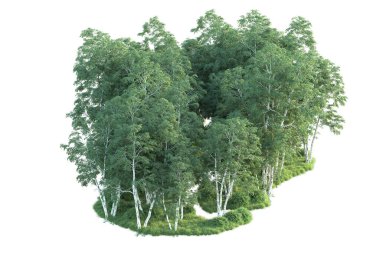 Beyaz arka planda ağaçların olduğu ormanın manzarası