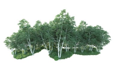 Beyaz arka planda ağaçların olduğu ormanın manzarası