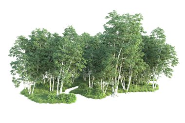 Beyaz arka planda ağaçların olduğu ormanın manzarası