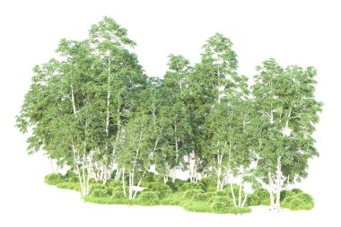 Beyaz arka planda ağaçların olduğu ormanın manzarası