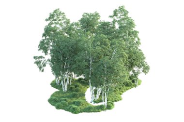 Beyaz arka planda ağaçların olduğu ormanın manzarası