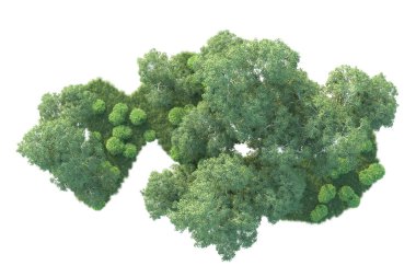 Beyaz arka planda ağaçların olduğu ormanın manzarası