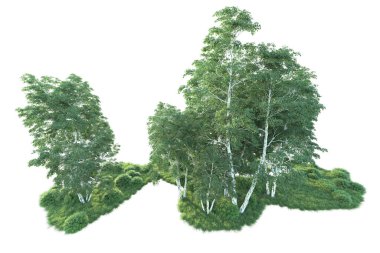 Beyaz arka planda ağaçların olduğu ormanın manzarası