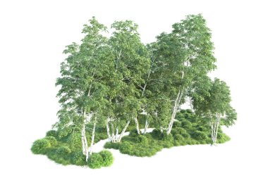 Beyaz arka planda ağaçların olduğu ormanın manzarası