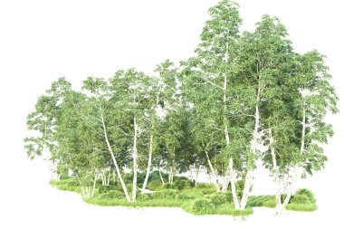 Beyaz arka planda ağaçların olduğu ormanın manzarası