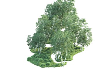 Beyaz arka planda ağaçların olduğu ormanın manzarası