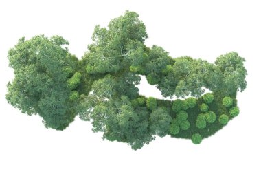 Beyaz arka planda ağaçların olduğu ormanın manzarası