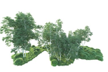 Beyaz arka planda ağaçların olduğu ormanın manzarası