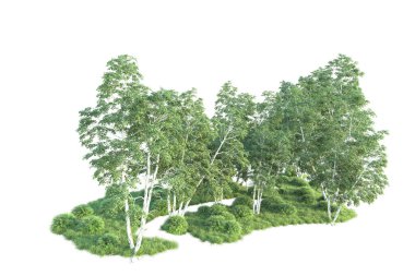 Beyaz arka planda ağaçların olduğu ormanın manzarası