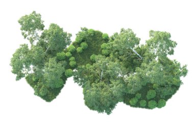 Beyaz arka planda ağaçların olduğu ormanın manzarası