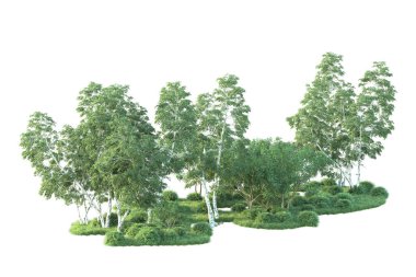 Beyaz arka planda ağaçların olduğu ormanın manzarası