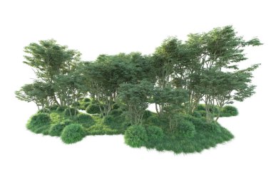 Beyaz arka planda ağaçların olduğu ormanın manzarası