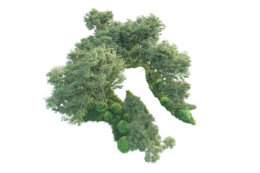 Beyaz arka planda ağaçların olduğu ormanın manzarası