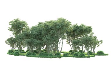 Beyaz arka planda ağaçların olduğu ormanın manzarası