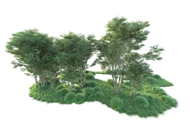 Beyaz arka planda ağaçların olduğu ormanın manzarası