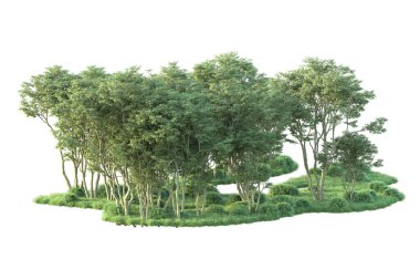 Beyaz arka planda ağaçların olduğu ormanın manzarası