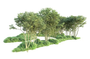 Beyaz arka planda ağaçların olduğu ormanın manzarası