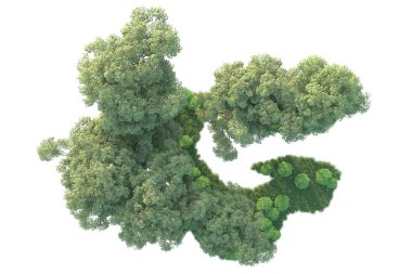 Beyaz arka planda ağaçların olduğu ormanın manzarası