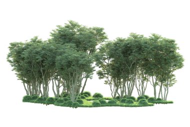 Beyaz arka planda ağaçların olduğu ormanın manzarası