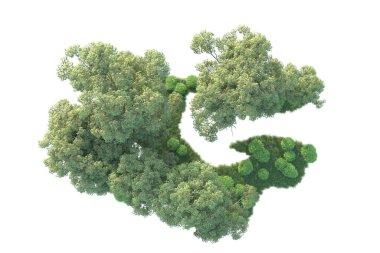 Beyaz arka planda ağaçların olduğu ormanın manzarası