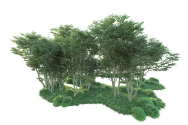 Beyaz arka planda ağaçların olduğu ormanın manzarası