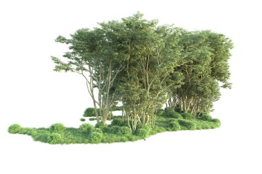 Beyaz arka planda ağaçların olduğu ormanın manzarası