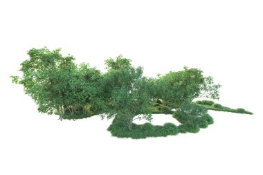 Beyaz arka planda ağaçların olduğu ormanın manzarası