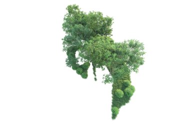 Beyaz arka planda ağaçların olduğu ormanın manzarası