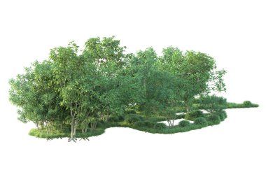 Beyaz arka planda ağaçların olduğu ormanın manzarası