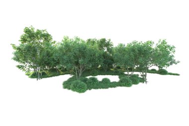 Beyaz arka planda ağaçların olduğu ormanın manzarası